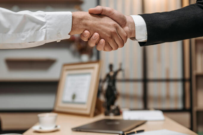 Company's legal audit before purchasing