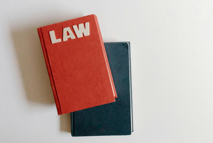 Analysis of competitors in public procurement